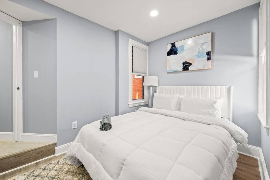 New! Cozy Apt In Center City! 필라델피아 외부 사진